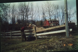 begynnelsen_pa%cc%82_en_heller_tvilsom_film