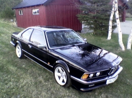bmw-635csi-e24-8315