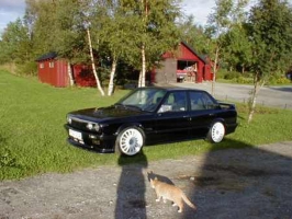 bmw-pitbull-36
